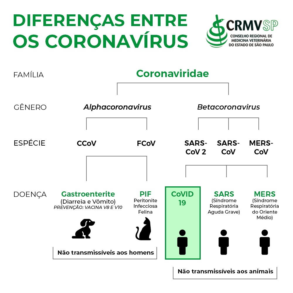 diferenças entre coronavírus